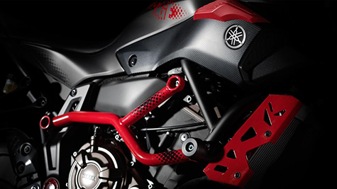 Moto Cage Detail 1