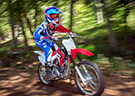 CRF125F