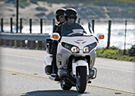 Gold Wing