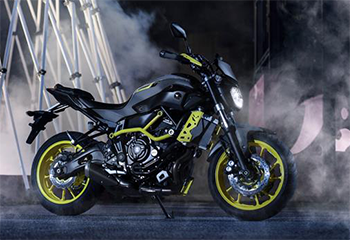 Moto Cage