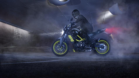 Moto Cage Action